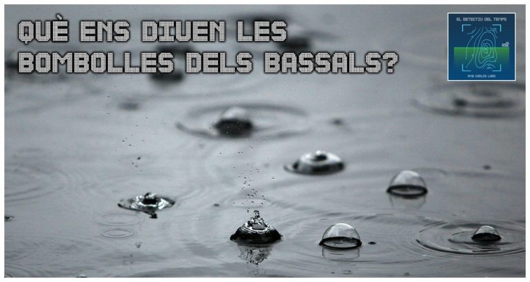 EL DETECTIU DEL TEMPS – Què ens volden dir les bombolles dels bassals quan plou?