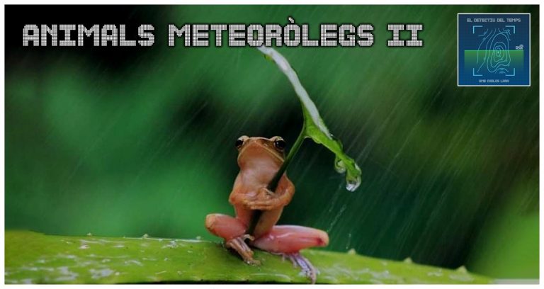 El Detectiu del Temps – Animals meteoròlegs