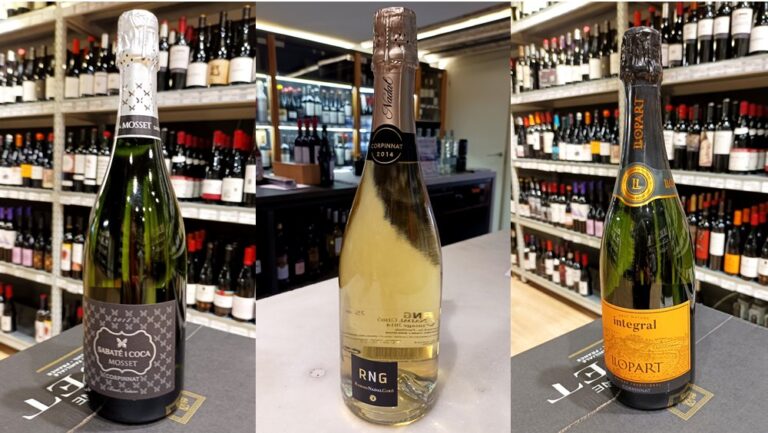Espai de Vins 243- Caves i escumosos per la revetlla 2023