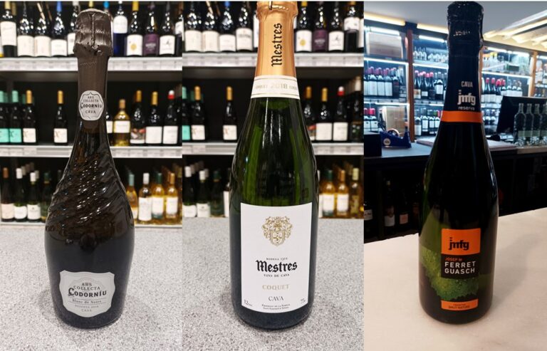 ESPAI DE VINS 262 – Caves i escumosos per a la revetlla 2024