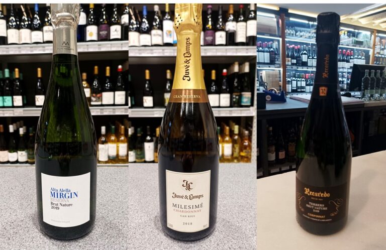 ESPAI DE VINS 263 – Caves i escumosos per gaudir d’un bon dinar a l’estiu 2024