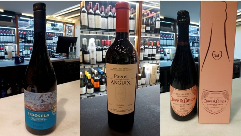 ESPAI DE VINS 268 – Vins i caves per gaudir del Nadal