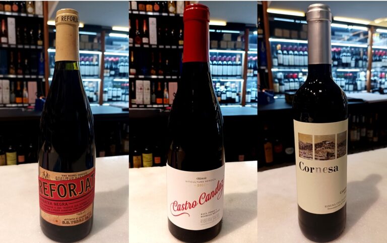 Espai de Vins 269 – Vins per celebrar el Carnaval 2025