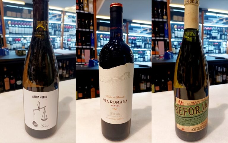 Espai de Vins 270 – Vins per a l’inici de la primavera 2025