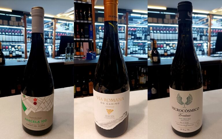 Espai de Vins 271 – Vins per a la primavera 2025